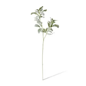 Lambs Ear Leaf Spray - 28 x 16 x 72cm by null, a Plants for sale on Style Sourcebook