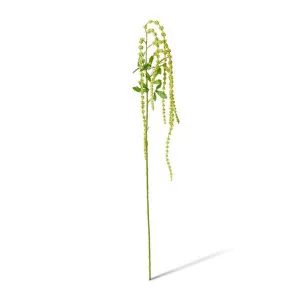 Amaranthus Hanging Spray - 24 x 12 x 118cm by null, a Plants for sale on Style Sourcebook