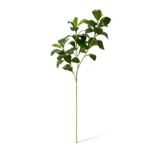 Lush Small Leaf Spray - 25 x 18 x 75 cm by null, a Plants for sale on Style Sourcebook
