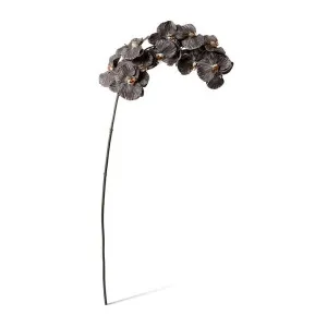 Phalaenopsis Orchid Stem - 20 x 8 x 112 cm by null, a Plants for sale on Style Sourcebook