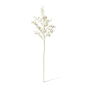 Orchid Dancing Spray - 36 x 30 x 102 cm by null, a Plants for sale on Style Sourcebook