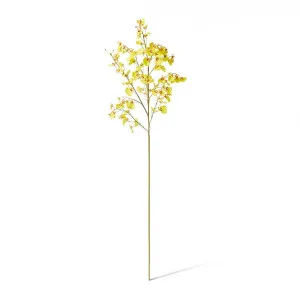Orchid Dancing Spray - 36 x 30 x 102 cm by null, a Plants for sale on Style Sourcebook