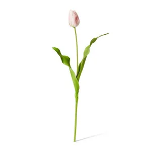 Tulip Dutch Stem - 13 x 10 x 57 cm by null, a Plants for sale on Style Sourcebook