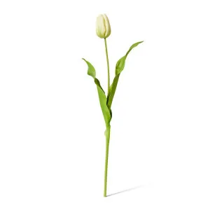 Tulip Dutch Stem - 13 x 10 x 57 cm by null, a Plants for sale on Style Sourcebook