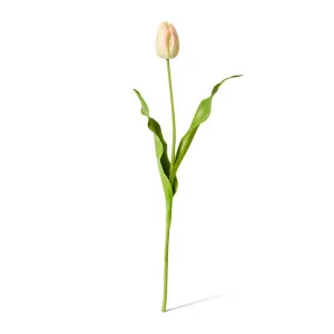 Tulip Dutch Stem - 13 x 10 x 57 cm by null, a Plants for sale on Style Sourcebook