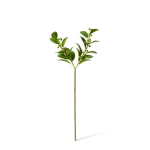 Berry Spray - 18 x 8 x 46 cm by null, a Plants for sale on Style Sourcebook