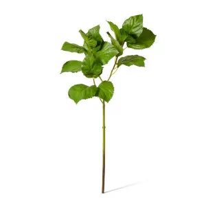 Hydrangea Leaf Spray - 30 x 30 x 84 cm by null, a Plants for sale on Style Sourcebook