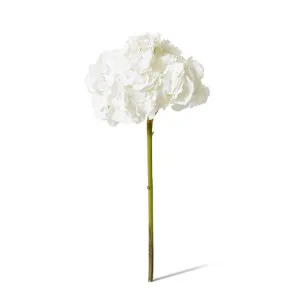 Hydrangea Stem - 25 x 25 x 53 cm by null, a Plants for sale on Style Sourcebook