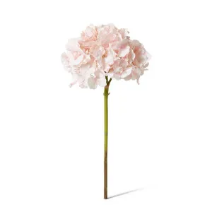 Hydrangea Stem - 25 x 25 x 53 cm by null, a Plants for sale on Style Sourcebook