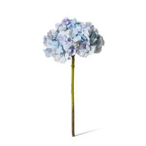 Hydrangea Stem - 25 x 25 x 53 cm by null, a Plants for sale on Style Sourcebook