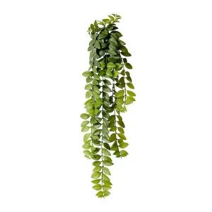 Honey Locust Hanging Bush - 26 x 20 x 86 cm by null, a Plants for sale on Style Sourcebook