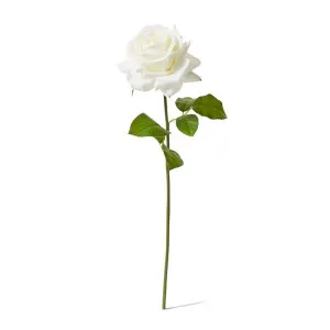 Rose Garden Short Stem (RT) - 14 x 12 x 45 cm by null, a Plants for sale on Style Sourcebook