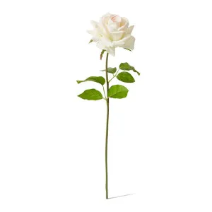 Rose Garden Short Stem (RT) - 14 x 12 x 45 cm by null, a Plants for sale on Style Sourcebook