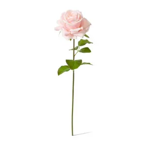 Rose Garden Short Stem (RT) - 14 x 12 x 45 cm by null, a Plants for sale on Style Sourcebook