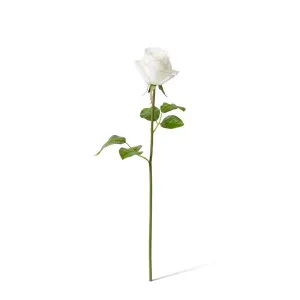 Rose Classic Short Stem (RT) - 14 x 12 x 45 cm by null, a Plants for sale on Style Sourcebook
