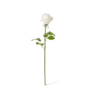 Rose Classic Short Stem (RT) - 14 x 12 x 45 cm by null, a Plants for sale on Style Sourcebook