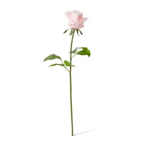 Rose Classic Short Stem (RT) - 14 x 12 x 45 cm by null, a Plants for sale on Style Sourcebook