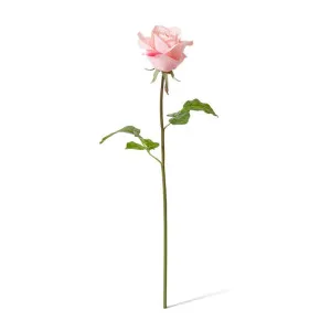Rose Classic Short Stem (RT) - 14 x 12 x 45 cm by null, a Plants for sale on Style Sourcebook