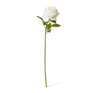 Rose Garden Stem (RT) - 22 x 14 x 66 cm by null, a Plants for sale on Style Sourcebook