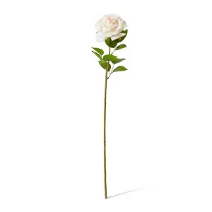 Rose Garden Stem (RT) - 22 x 14 x 66 cm by null, a Plants for sale on Style Sourcebook