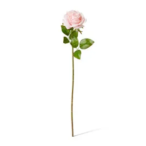 Rose Garden Stem (RT) - 22 x 14 x 66 cm by null, a Plants for sale on Style Sourcebook