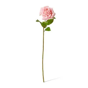 Rose Garden Stem (RT) - 22 x 14 x 66 cm by null, a Plants for sale on Style Sourcebook
