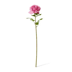 Rose Garden Stem (RT) - 22 x 14 x 66 cm by null, a Plants for sale on Style Sourcebook