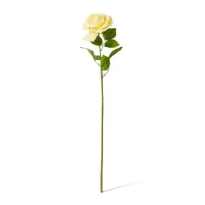 Rose Garden Stem (RT) - 22 x 14 x 66 cm by null, a Plants for sale on Style Sourcebook