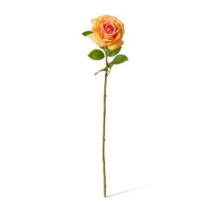 Rose Garden Stem (RT) - 22 x 14 x 66 cm by null, a Plants for sale on Style Sourcebook