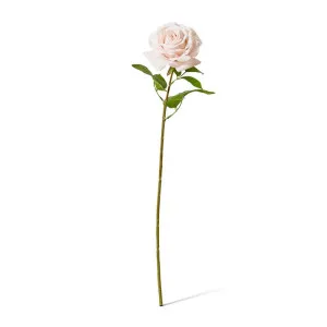 Rose Garden Stem (RT) - 22 x 14 x 66 cm by null, a Plants for sale on Style Sourcebook