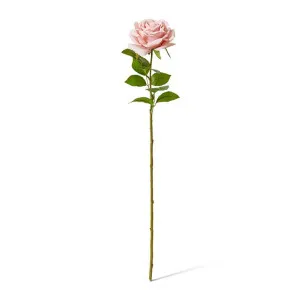 Rose Garden Stem (RT) - 22 x 14 x 66 cm by null, a Plants for sale on Style Sourcebook