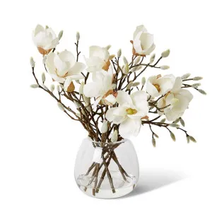 Magnolia - Alma Vase - 48 x 45 x 42 cm by null, a Plants for sale on Style Sourcebook