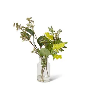 Wattle & Seed - Specimen Bottle - 25 x 16 x 32 cm by null, a Plants for sale on Style Sourcebook