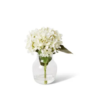 Hydrangea - Gabbie Vase - 15 x 15 x 26 cm by null, a Plants for sale on Style Sourcebook