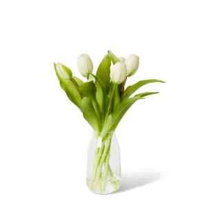 Tulip - Harnan Vase - 18 x 20 x 32 cm by null, a Plants for sale on Style Sourcebook