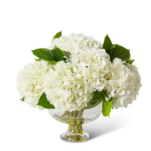 Hydrangea - Lydia Bowl - 52 x 52 x 44 cm by null, a Plants for sale on Style Sourcebook
