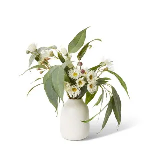 Flowering Eucalyptus - Damita Vase - 36 x 46 x 46 cm by null, a Plants for sale on Style Sourcebook