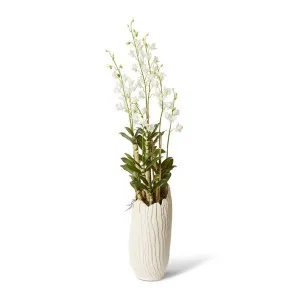 Orchid Dendrobidium Potted - Sanchia Vessel - 64 x 60 x 155 cm by null, a Plants for sale on Style Sourcebook