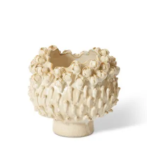 Cordelia Vase - 22 x 22 x 19 cm by null, a Vases & Jars for sale on Style Sourcebook