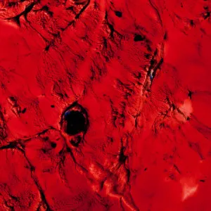 Malachite Red by Acrylic Couture, a Other Surfaces for sale on Style Sourcebook