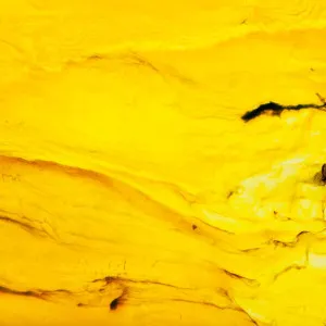 Malachite Yellow by Acrylic Couture, a Other Surfaces for sale on Style Sourcebook