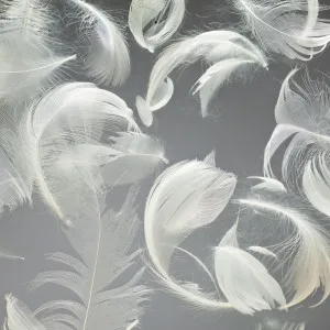 Vento by Acrylic Couture, a Other Surfaces for sale on Style Sourcebook