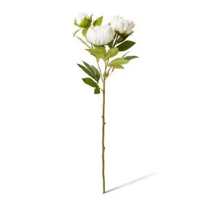 Classic Peony Spray - 27 x 24 x 75cm by null, a Plants for sale on Style Sourcebook