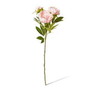 Classic Peony Spray - 27 x 24 x 75cm by null, a Plants for sale on Style Sourcebook