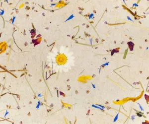 ALMWIESN LIGHT by Organoid, a Wallpaper for sale on Style Sourcebook