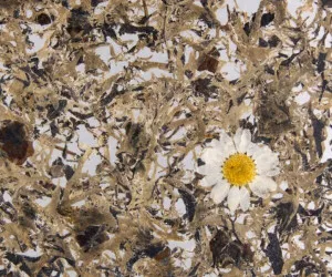 BAMBOART MARGERITTA MEDIUM by Organoid, a Wallpaper for sale on Style Sourcebook