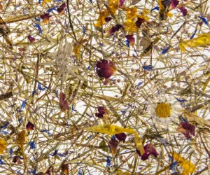 BERGWIESN MEDIUM by Organoid, a Wallpaper for sale on Style Sourcebook