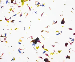 BLIATNPRACHT LIGHT on white ecofleece by Organoid, a Wallpaper for sale on Style Sourcebook