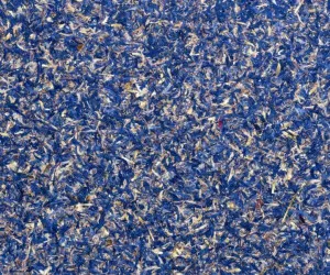 KORNBLUAMA BLAU PREMIUM by Organoid, a Wallpaper for sale on Style Sourcebook