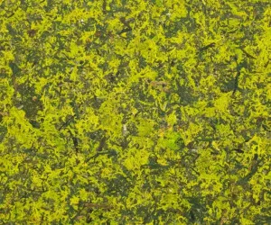 MOUS MIX PREMIUM by Organoid, a Wallpaper for sale on Style Sourcebook